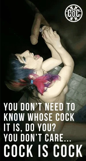 Shemale Hotwife Gifs 11