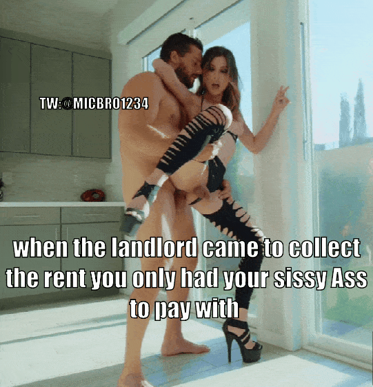 Shemale Hotwife Gifs 22