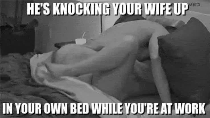 Breeding Slut Porn Captions 5