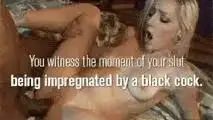 Breeding Slut Porn Captions 66